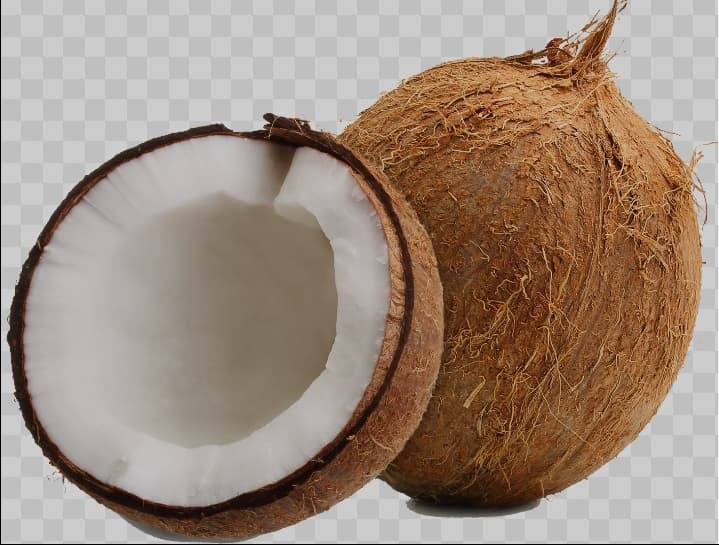 Coconut 