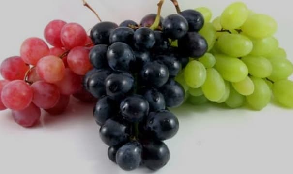 Grapes 