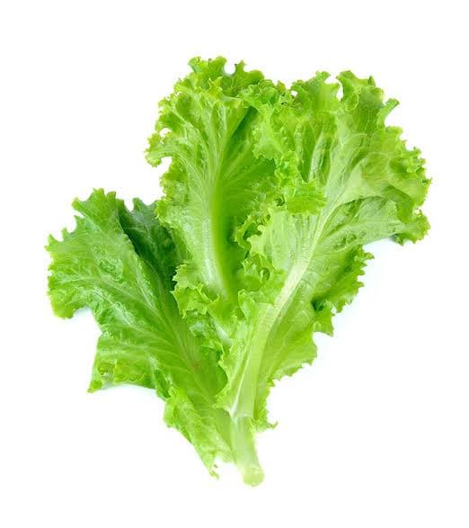 Lettuce 